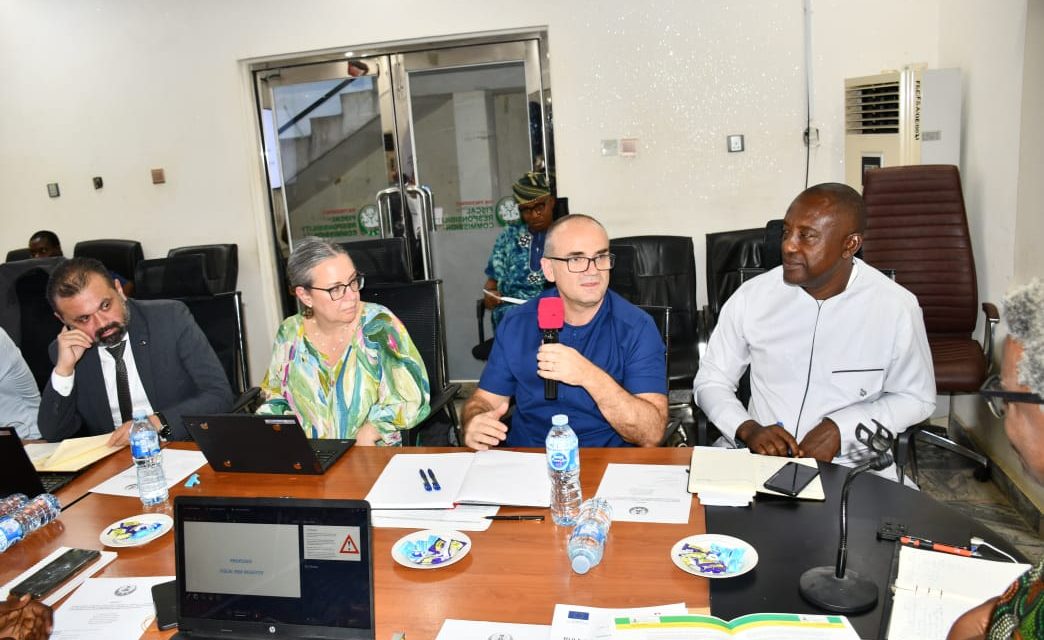 IMF CALLS FOR STRONGER COLLABORATION BETWEEN FRC AND DMO ON FISCAL-RISK MANAGEMENT
